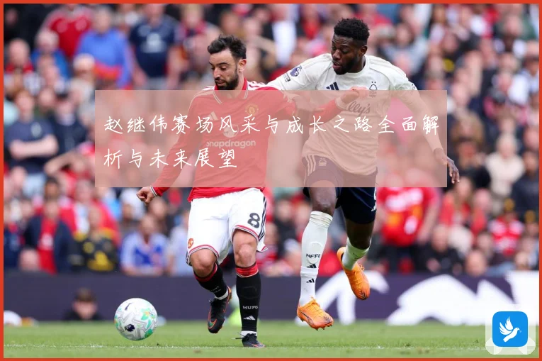 赵继伟赛场风采与成长之路全面解析与未来展望