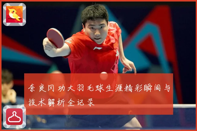 奈良冈功大羽毛球生涯精彩瞬间与技术解析全记录